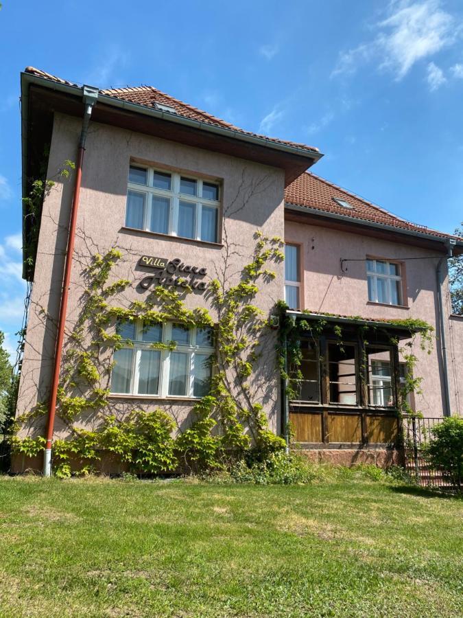 Villa Stara Apteka Srebrna Gora Exterior photo